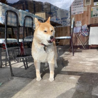 Xl63PKEXXEuCOgd's profile picture. 