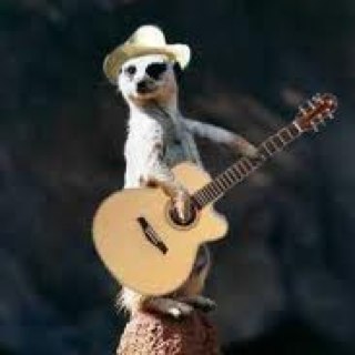 Mattwhite7's profile picture. matt, 26, firefighter and cricket club legend!