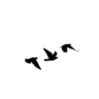 Fatimah (@i_am_fatimaah) Twitter profile photo