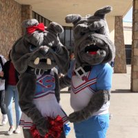 Mad Dog Cheer (@dog_cheer) 's Twitter Profile