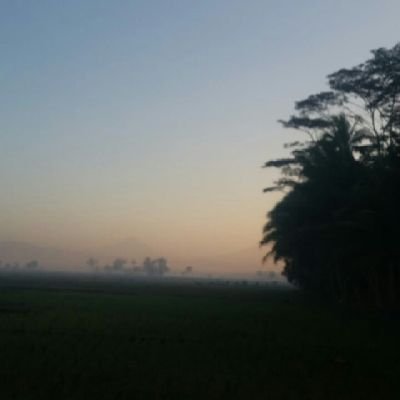 Zahra6948's profile picture. 