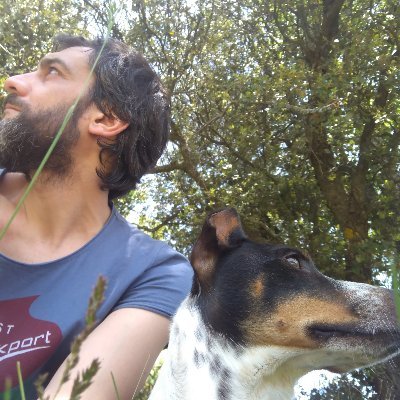 Embaucado entre los parajes que no habitamos la fauna cósmica...