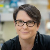 Aimee M. Dudley (@yeastgenetics) 's Twitter Profile
