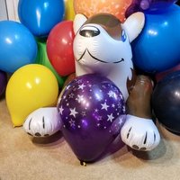 instalooner (@instalooner) 's Twitter Profile