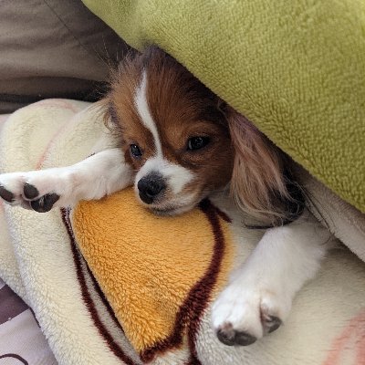 そめ太郎 ジェラード自伝 君はひとりじゃない 始まりは チェルシー戦のスリップした夜 みなが望んだ優勝が 自分の手からこぼれ落ちた夜 僕では想像できない悲しみだったと思います それを乗り越えれたのは一人じゃなかったから 700試合以上の記録が そめ太郎 ジェラード自伝 君はひとりじゃない 始まりは チェルシー戦のスリップした夜 みなが望んだ優勝が 自分の手からこぼれ落ちた夜 僕では想像できない悲しみだったと思います それを乗り越えれたのは一人じゃなかったから 700試合以上の記録が