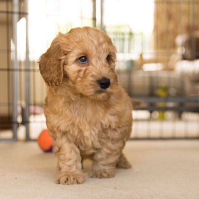 aw_coleman's profile picture. 