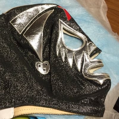 たきおん 正体不明謎の覆面レスラー田中稔って 正体不明なの これって 正体不明なのかな たきおん 正体不明謎の覆面レスラー田中稔って 正体不明なの これって 正体不明なのかな