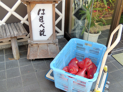 伊豆稲取温泉で小さな温泉宿を経営。

伊豆稲取産金目鯛一筋に三十年。こだわりの稲取金目を
お客様に提供する温泉宿。伊豆稲取漁港、鮮魚競り場で
魚貝類入札権にて買い付ける金目鯛は、正真正銘の稲取
金目鯛。[鮮魚商は稲取金目と呼び市場評価が高く
老舗寿司店、老舗料亭に圧倒的な信頼を得ています。