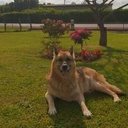 Robert Faubert - @RobertFaubert3 - Twitter