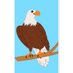 EL Academy Year 6 (@cohort7ela) Twitter profile photo EL Academy Year 6 (@cohort7ela) Twitter profile photo