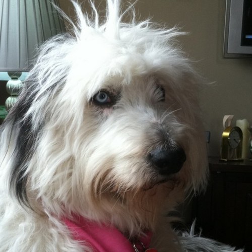 leighandnannah's profile picture. 