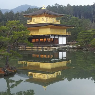 神社仏閣、お城巡りが好き🤗