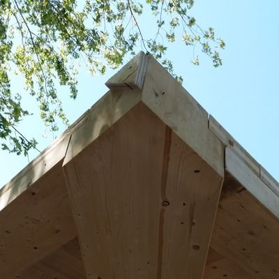 c_m_haag's profile picture. 