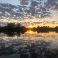 Leo Schlink (@leoschlink) 's Twitter Profile