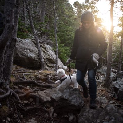 RossiterJodie's profile picture. teacher/learner, mistake maker, nacho lover, joke ruiner, get back upper. High five everyone energy. We’re killing it!
