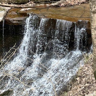 Father, Husband, Proud WV Independent, all about family, gardening and outdoor lifestyle.