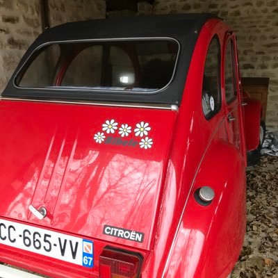 bibele49's profile picture. 