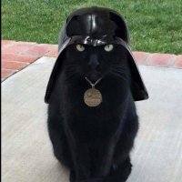 Gill B. 🏴 🐲🐑🍅 (@giddeeaunt) 's Twitter Profile Photo Gill B. 🏴 🐲🐑🍅 (@giddeeaunt) 's Twitter Profile Photo