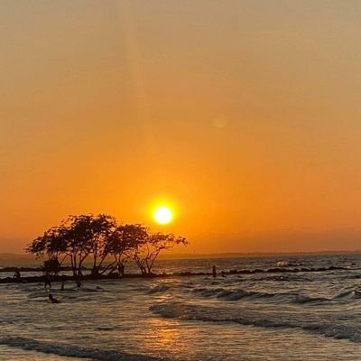 RuizSuly's profile picture. 