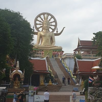 Nicoboc79145011's profile picture. Um frances