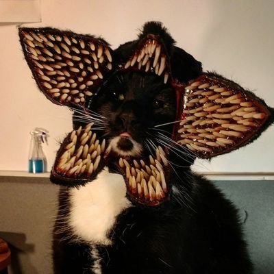 vermilion_026's profile picture. Потому что жизнь - это воспоминания, а мои воспоминания печальны