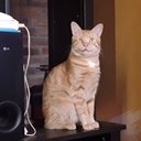 Petit Alain - @PetitAl36992001 - Twitter