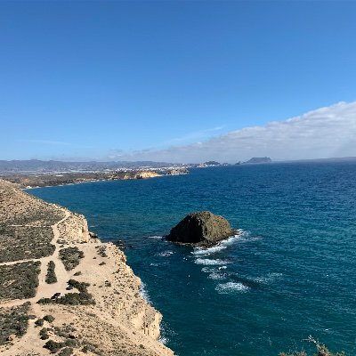 bayle_stef's profile picture. 