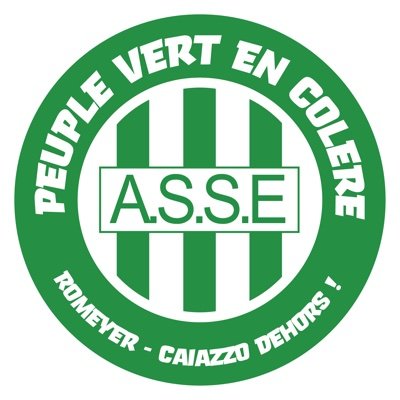 VertsEnColere's profile picture. Amoureux des Verts en contestation contre leur direction