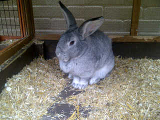 MartynBrockett's profile picture. 