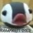 ochipoko.comのアイコン