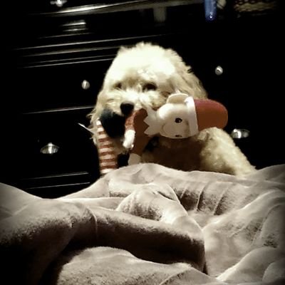 0_market2's profile picture.