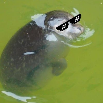 こんたさんのプロフィール画像