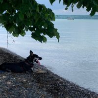 Carl Schimenti (@carl_schimenti) 's Twitter Profile