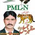 PMLN106