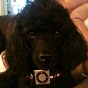 Janette Mathews - @JanetteIOM - Twitter