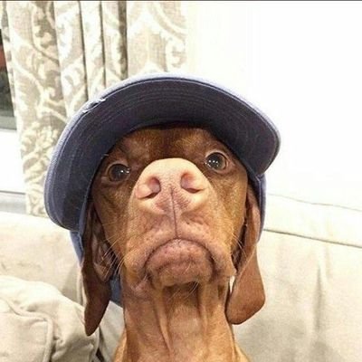 THE HILARIOUS KURT MAICON😂. @KAIZERCHIEFS • @CHELSEA . @XXXTENTACION • @M1LLIONZ . @GRMDAILY IS FOR EVER⚠️