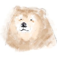 べるとこんべあ (@beltconbear) Twitter profile photo