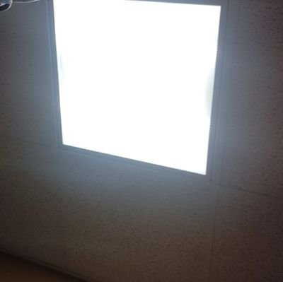 pinaoppo500's profile picture.