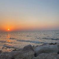 Don Breslauer (@donbreslauer26) 's Twitter Profile Photo