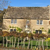 The Pear Tree (@peartreewhitley) 's Twitter Profile Photo The Pear Tree (@peartreewhitley) 's Twitter Profile Photo