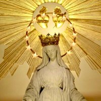 ✨🌹ルチア✨ (@lucia_mariage) 's Twitter Profile