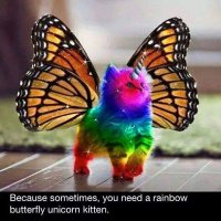 Dr Fran Smith πππ (@drfransmith) 's Twitter Profile
