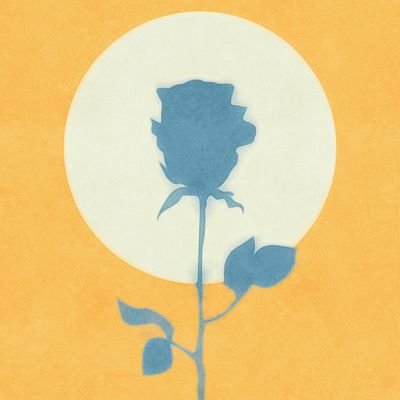 BlueIyer's profile picture. Will Fill this along the Way.