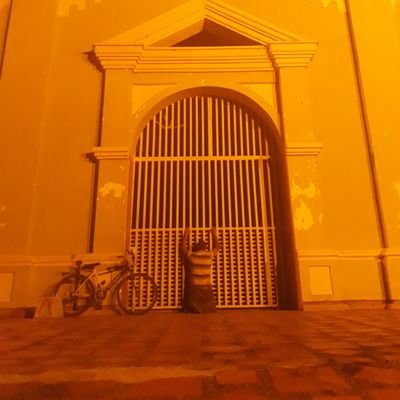 Alejand13056984's profile picture. 