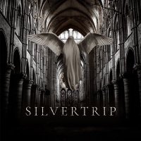 Silvertrip (@silvertripband) 's Twitter Profile
