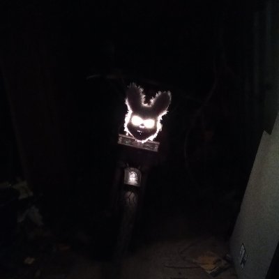 Bandit25173274's profile picture. feel free to send nudes women only 29yo