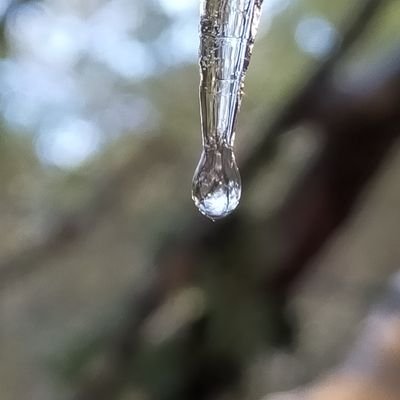 Me apasiona mi familia y servir a Dios. Me gusta leer, construir, y una buena conversación... la bicicleta y una buena fideuá...jejejej