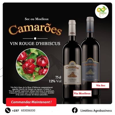 Camaroes is a 100% Cameroonian red wine made from the hibiscus flower. Superior quality wine, it fills you with its aroma of natural flowers.