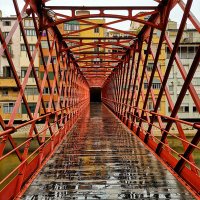 MilloremGirona (@milloremgirona) 's Twitter Profile Photo