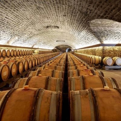 Sianniscellar's profile picture. 